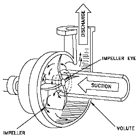Centrifugal Pump Components | Commercial Water Distribution