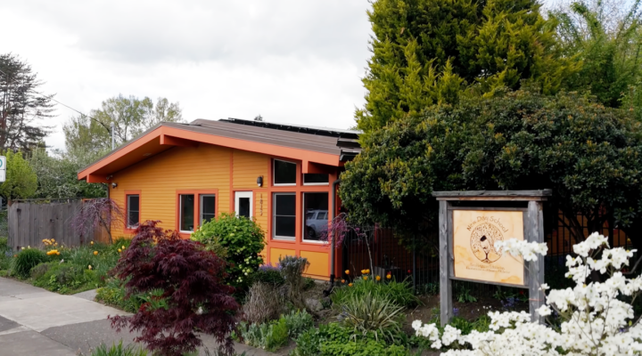 Image for Preschool prioritizes healthy, mindful HVAC decisions