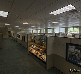 Luminaire Level Lighting | Holistic Lighting Solutions