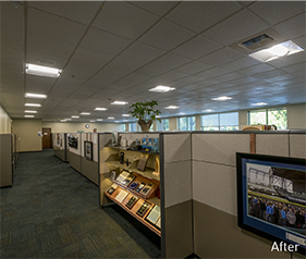 Holistic Lighting Solutions | Commercial Lighting