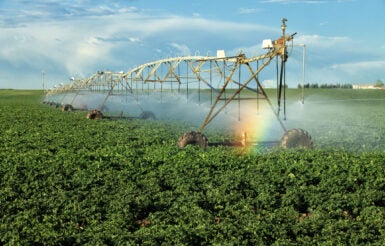 Image for Smart Pumps: The Smart Choice for Agricultural Irrigation