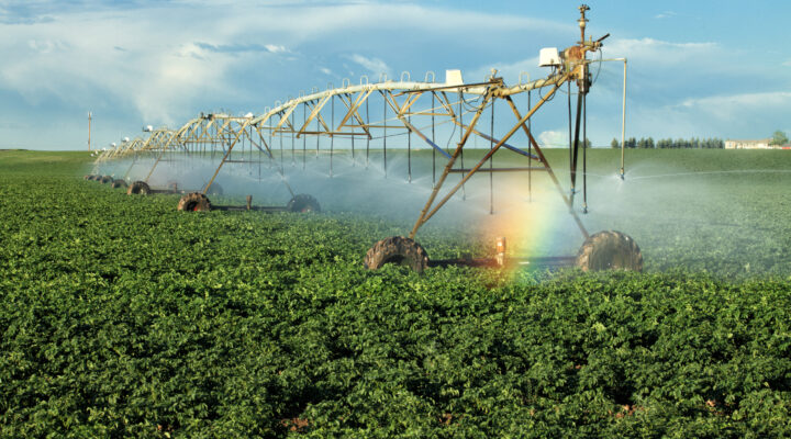 Image for Smart Pumps: The Smart Choice for Agricultural Irrigation