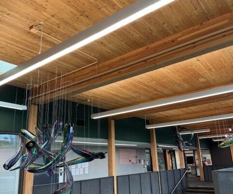 Image for Designed to adapt: Lighting that brings long-term success into focus